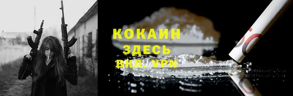 бошки Белокуриха