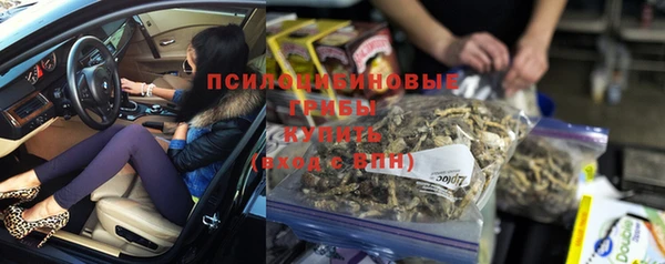 PSILOCYBIN Богородск