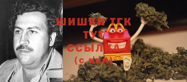 PSILOCYBIN Богородск