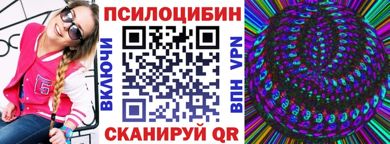 omg ССЫЛКА  Богородицк  Галлюциногенные грибы Magic Shrooms  цена наркотик 